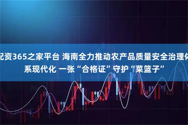 配资365之家平台 海南全力推动农产品质量安全治理体系现代化 一张“合格证”守护“菜篮子”